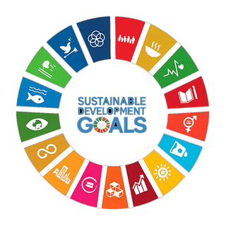 UN Sustainable Development Goals